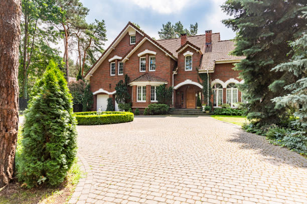 Best Residential Driveway Paver Services  in Lake Crystal, MN