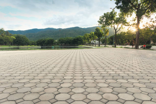 Best Affordable Driveway Pavers  in Lake Crystal, MN