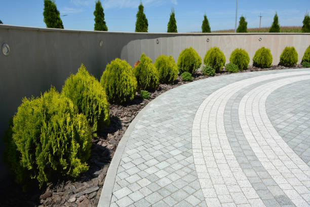 Best Concrete Paver Driveway  in Lake Crystal, MN